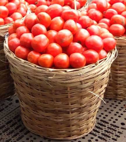 Fresh tomatoes